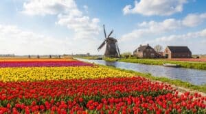 Vier verouderde Microsoft-fouten verschijnen opnieuw, sommige dateren zelfs van 14 jaar geleden