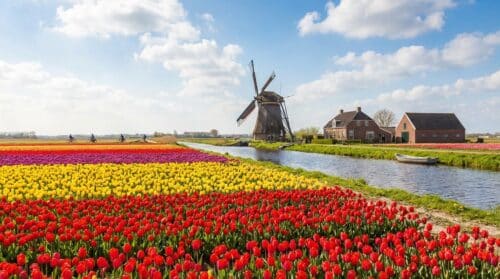 Vier verouderde Microsoft-fouten verschijnen opnieuw, sommige dateren zelfs van 14 jaar geleden