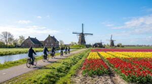 Windows 11: Controverse rond de toezeggingen van Microsoft